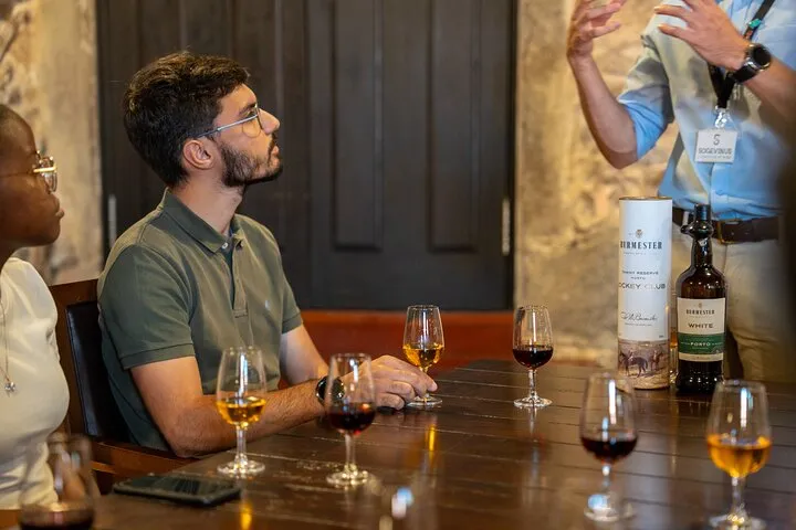 Porto historic center walk ending at a Vila Nova de Gaia port wine cellar tour with tasting, Porto, Portugal