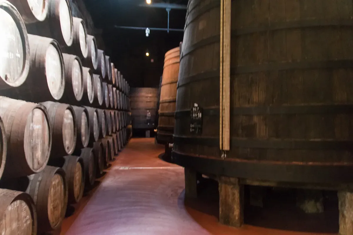 Rows of port casks beside a tall oak vat in a Vila Nova de Gaia cellar, seen on Porto wine cellar tours