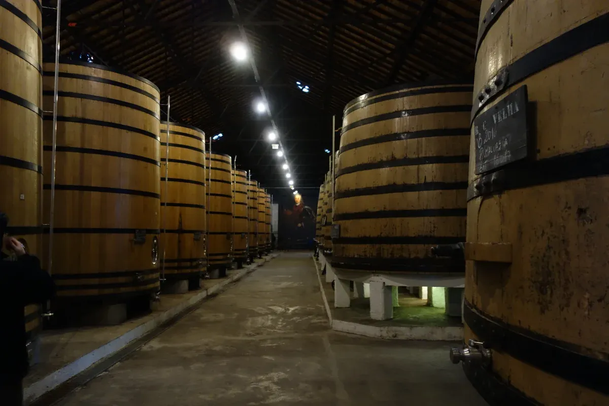 Rows of large vats in the Real Companhia Velha cellars in Vila Nova de Gaia, seen on a port wine cellar tour in Vila Nova de Gaia